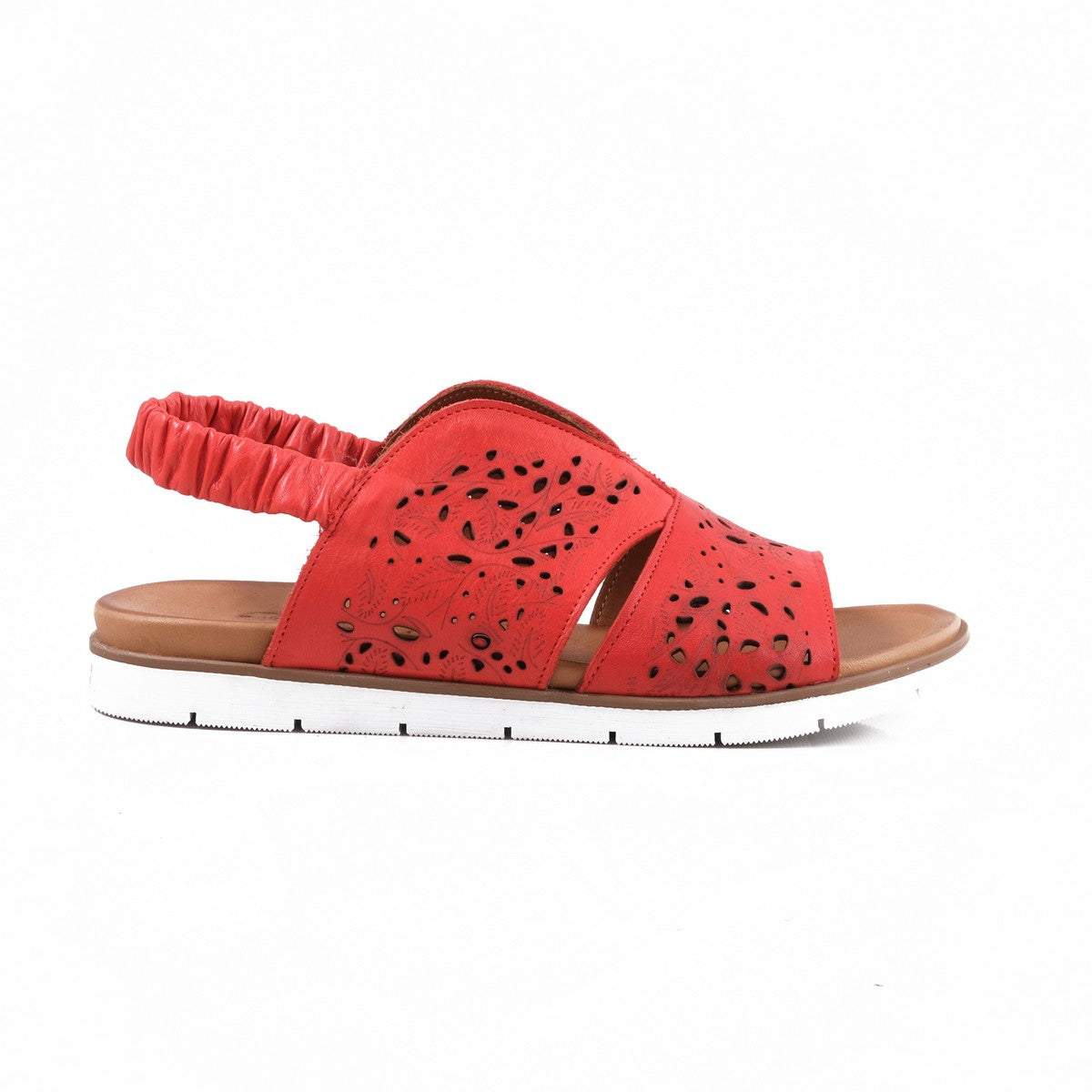 Pesso Sagitarius Red