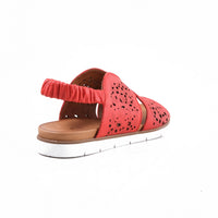 Pesso Sagitarius Red