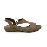 Froggie 12104 Stone Multi