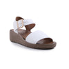 Froggie 12877 White