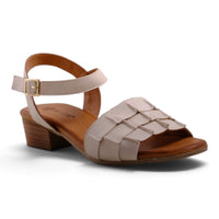 Pesso Shalsa Cream