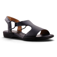 Froggie 12104 Black