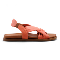 Pesso Litchi Coral