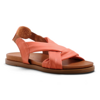 Pesso Litchi Coral