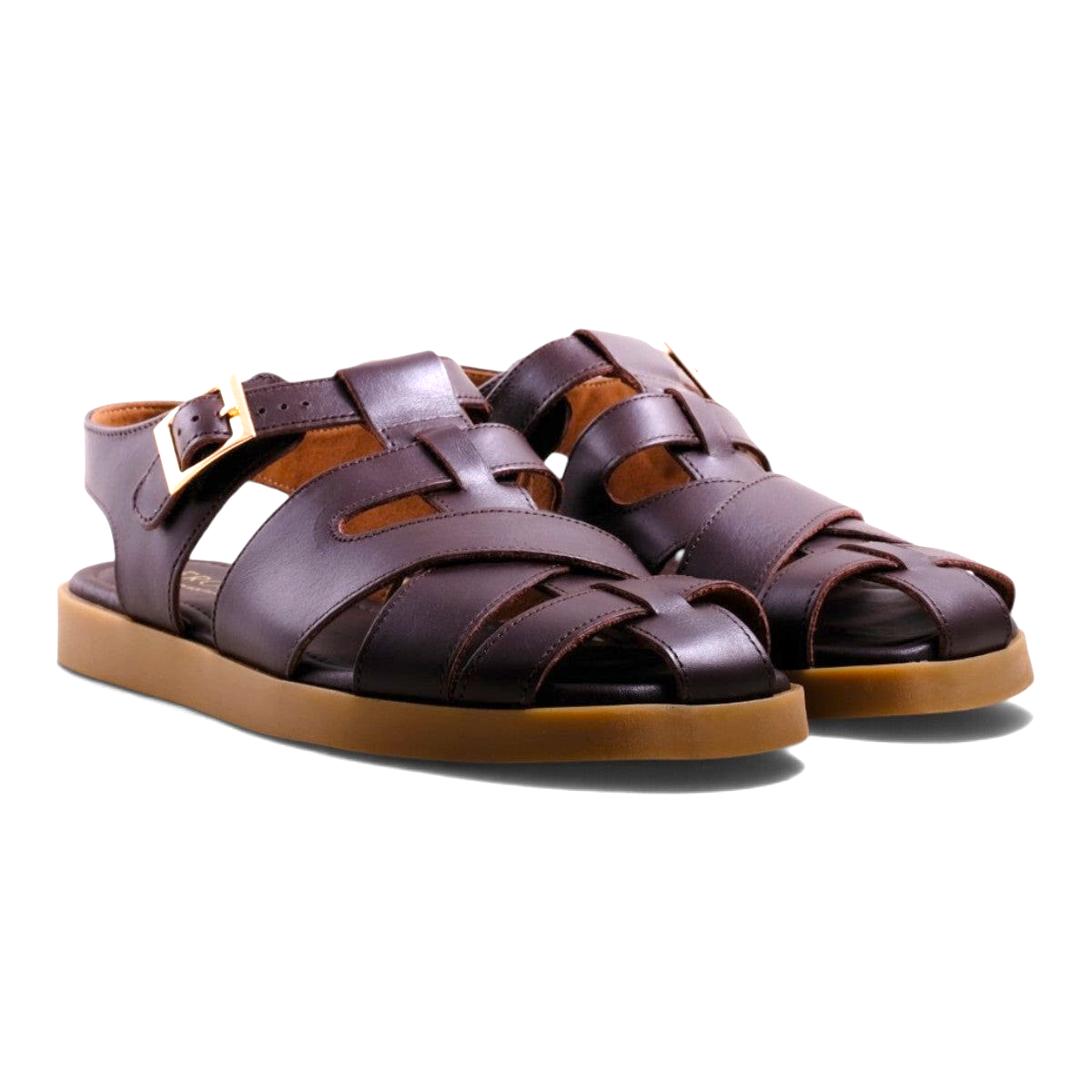 Froggie 13064 Brown
