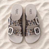 Igor Habana Brillo Sand Leopard