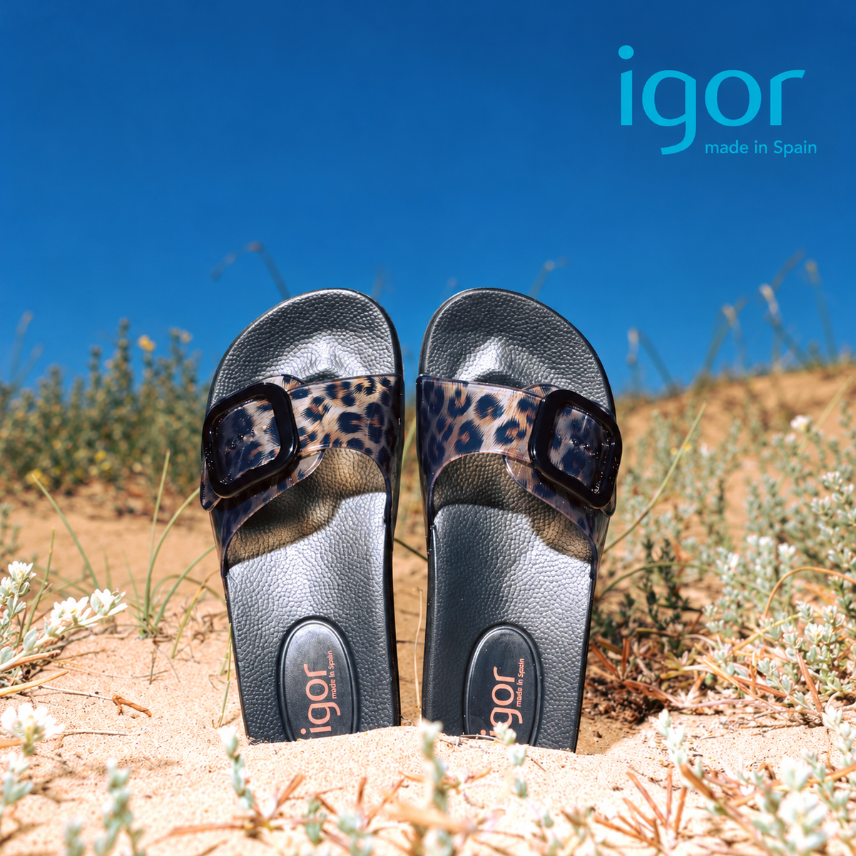 Igor Ona Black Leopard