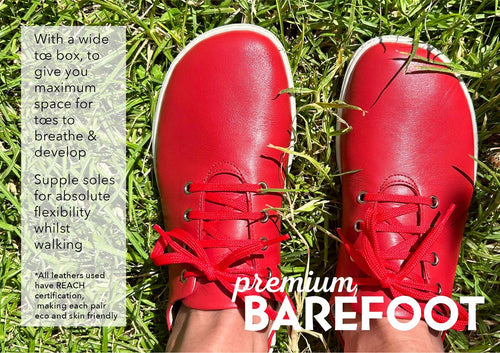 Premium Barefoot Oxford