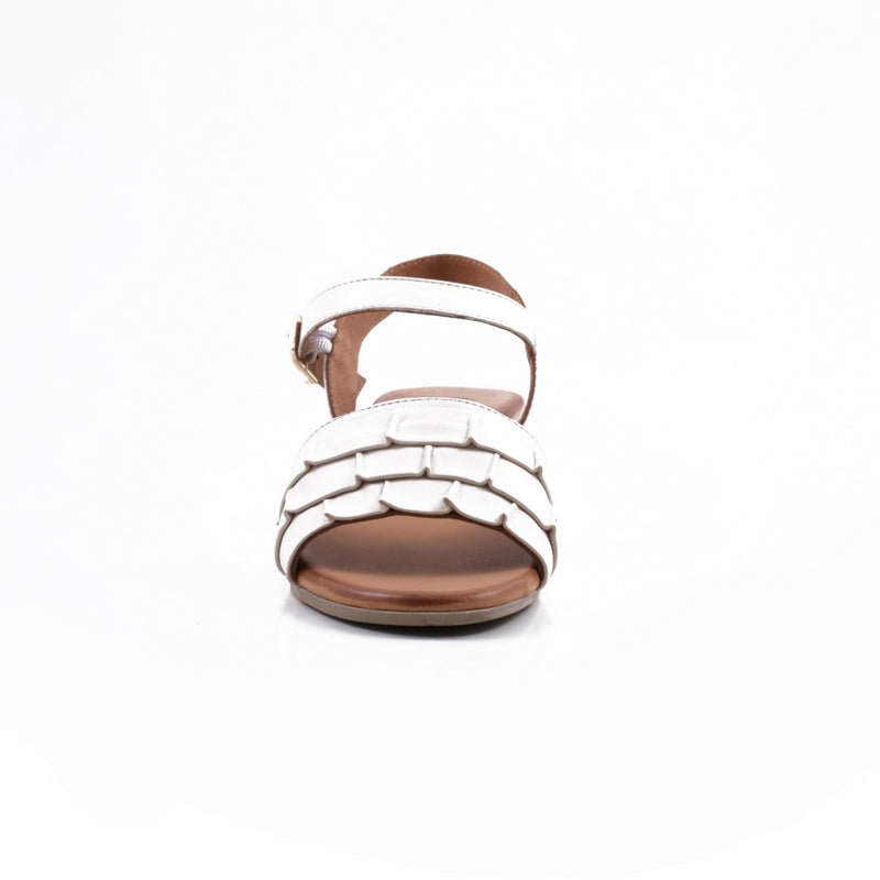 Pesso Shalsa Cream