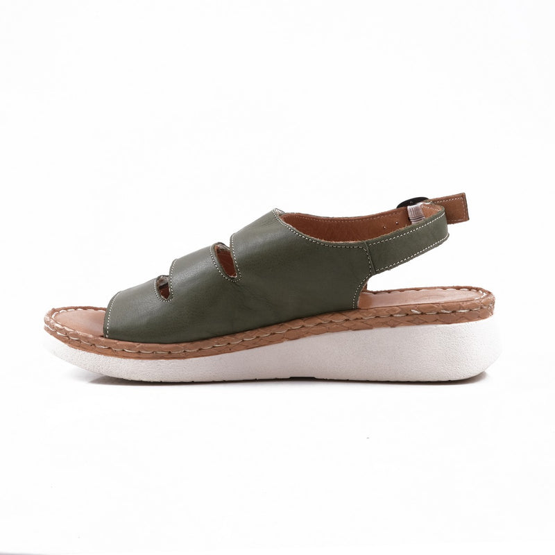 Pesso Shanay Olive