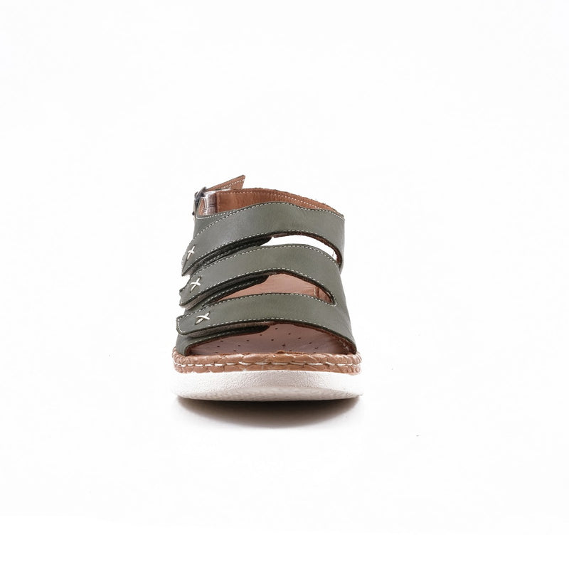 Pesso Shanay Olive