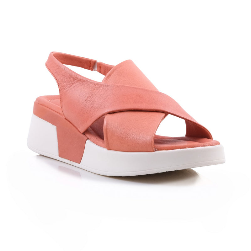 Pesso Shortcake Coral
